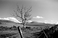 &copy Rudolf P du Toit