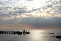 &copy Rudolf P du Toit