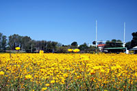 &copy Rudolf P du Toit