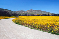 &copy Rudolf P du Toit