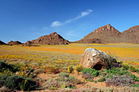 &copy Rudolf P du Toit