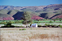 &copy Rudolf P du Toit