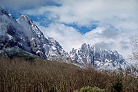 &copy Rudolf P du Toit