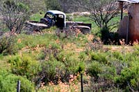 &copy Rudolf P du Toit