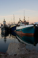 &copy Rudolf P du Toit