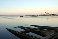 &copy Rudolf P du Toit