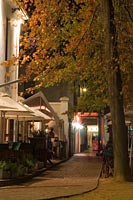 &copy Rudolf P du Toit