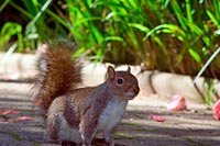 &copy Rudolf P du Toit